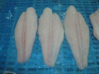 SELL: TOP QUALITY OF PANGASIUS WHITE FILLET WELLTRIMMED