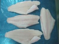 SELL: PREMIUM QUALITY OF PANGASIUS FILLET SEMI-TRIMMED