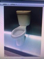 Toilet Bowl