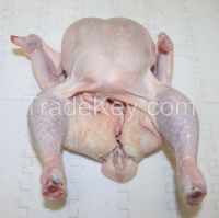 frozen whole halal chicken 