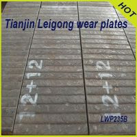 Tianjin Leigong produce high quality wear steel plates