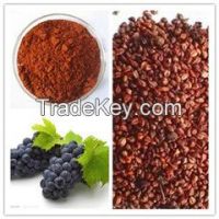 Grape seed/skin extract