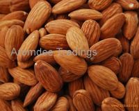 Dried California Almonds