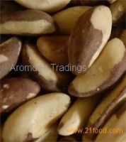 Organic Brazil Nuts (Raw, No Shell)