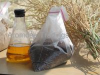 Canola Oil Seed