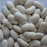 White Kidney Bean