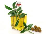 Pure plant olive oil