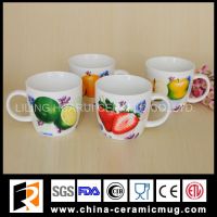 12oz fruit designs white porcelain mug