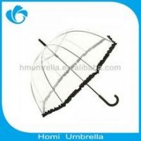 Apollo Umbrella,Transparent umbrella,J-shape dome umbrella