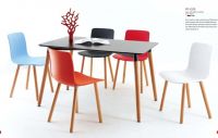 Plastic & Wooden Dining Chair (PP-132D)