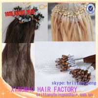 Micro Loop Human Hair Straight from Factory with Wholesale Price
