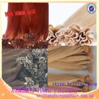 U-tip hair ( Nail hair) Human Hair Straight from Factory with Wholesale Price