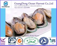 frozen cooked mussels meat China 