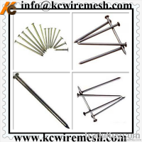 Polish&galvanized common nail/iron nail for construction, woodworking .