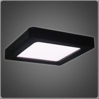 Surface Mounted LED Light