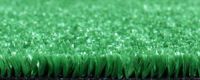 Synthetic Grass for Landscaping