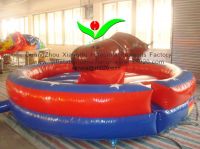 2014 inflatable  ...