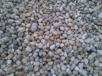 Natural River Pebbles