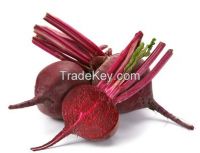 Red Beet Root Juice Powder