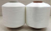 Polyester fdy twisted warp yarn with Great Low Price!