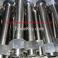 Stainless steel hex bolt