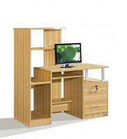 High Computer Table with Bookcase