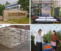 high quality greenhouse film for agriculture