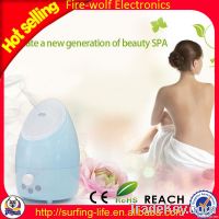Diffuser China Diffuser Manufacture Diffuser Factory Essential Oil Dif