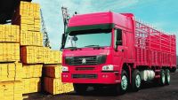 Sinotruck HOWO cargo truck lorry truck