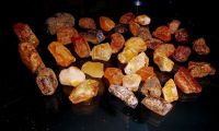 Rough Baltic Amber