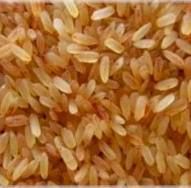 RED MATTA RICE