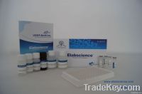 Human ADP/Acrp30 Elisa kit