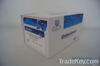 Human TNFAlpha Elisa kit