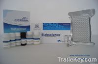 Human VEGF Elisa kit