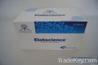 Human Tn-T Elisa kit