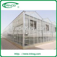 Multi-span glass greenhouse for commercial
