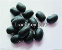 Good quality Soybeans Hull