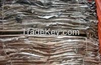 High  quality  WET SALTED BULL HIDES
