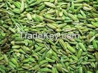 High   quality  FENNEL SEEDS