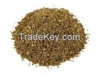 High  quality  Celery Seed