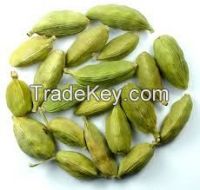 high   quality  Cardamom Green