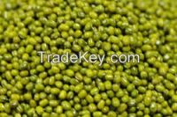 High  quality  Green mung beans