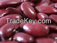 High  quality Organic Dark Red Kidney Bean