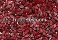 High quality red water melon seeds