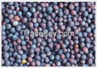 High  quality  Top Quality Vetch