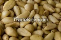 High quality  PINE NUTS KERNEL