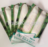 High quality  White Waxy Corn Seeds For Sale