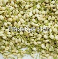 High  quality  Jasmine dried flowers 