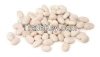 High   quality Navy White Beans