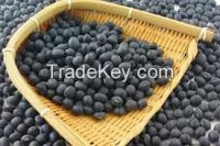 High  quality  Black soybeans